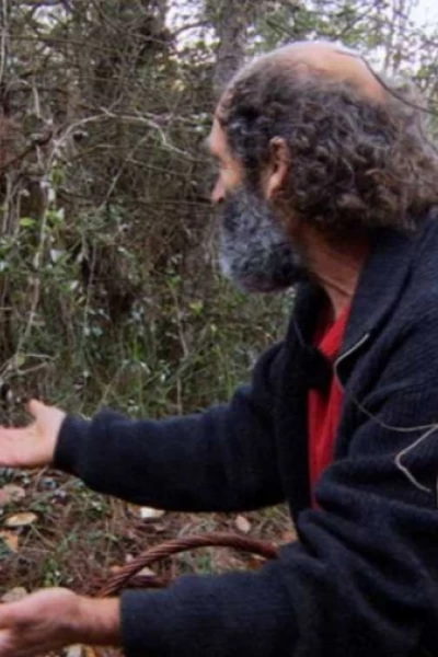 El señor de los bosques