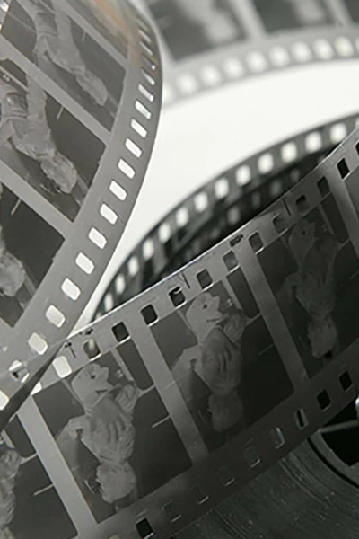 Cine