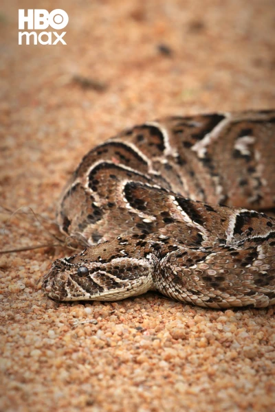Misterios de la naturaleza