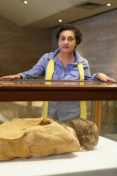 Momias al descubierto. Momias al descubierto: La fortuna robada de la momia pirata