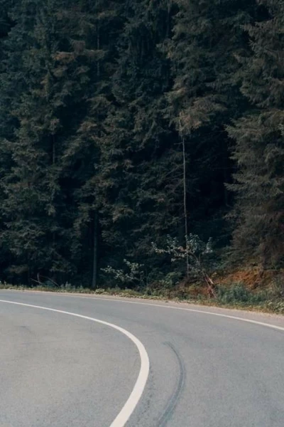 UCI Women World Tour. T(2026). UCI Women World Tour (2026): Flecha Valona F