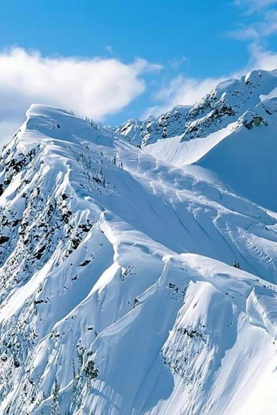 ISU Grand Prix of Figure Skating: Skate America. T(25/26). Skate America (25/26): Masculino - Programa corto