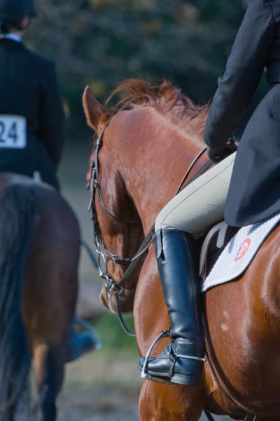 Asiático de equitación - Resumen