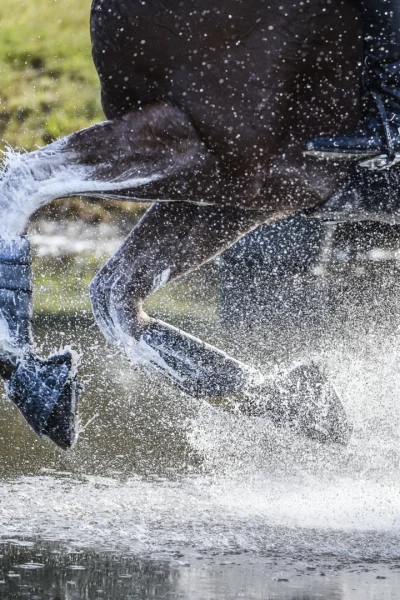 Liga ecuestre de Naciones