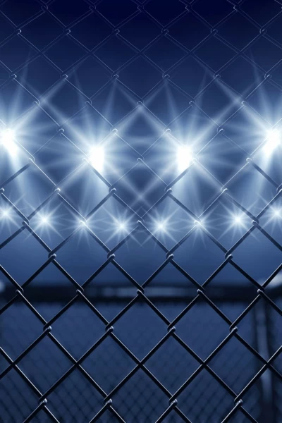 Ultimate Fighting Championship