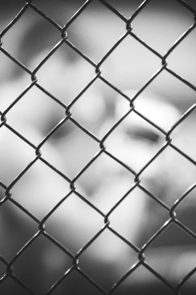 UFC Fight Night: Reyes vs Procházka. T(2021). UFC Fight Night:... (2021): Dominick Reyes vs Jirí Procházka