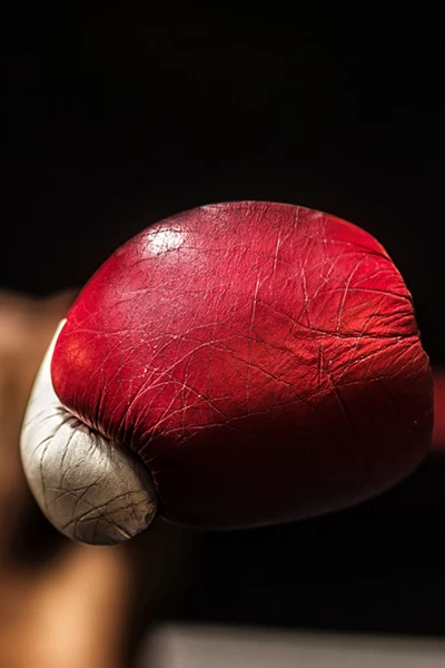 Boxeo: combate Cassius Clay vs Alex Miteff