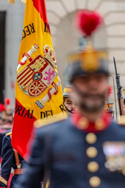 Desfile Militar Dia Fuerzas Armadas - Santa Cruz De Tenerife