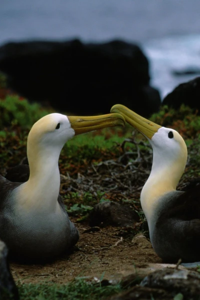 Los secretos naturales del ecuador