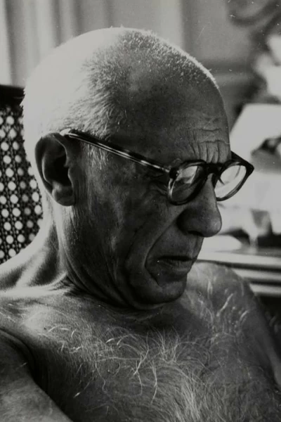 Picasso más allá de la leyenda