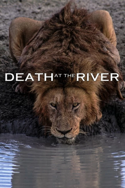 Muerte en el río