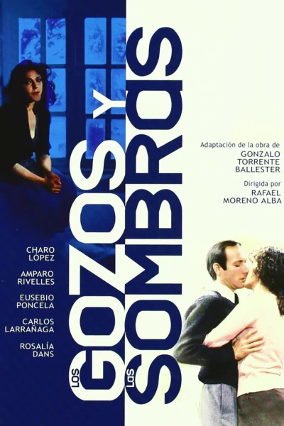 Los gozos y las sombras