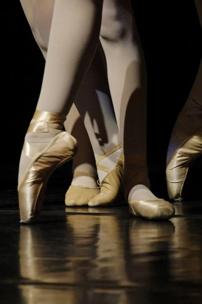 M Coreografía de Maurice Béjart - The Tokyo Ballet