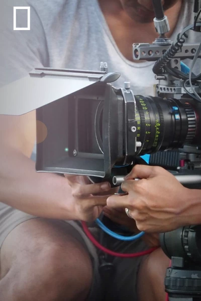 Ingeniería del caos