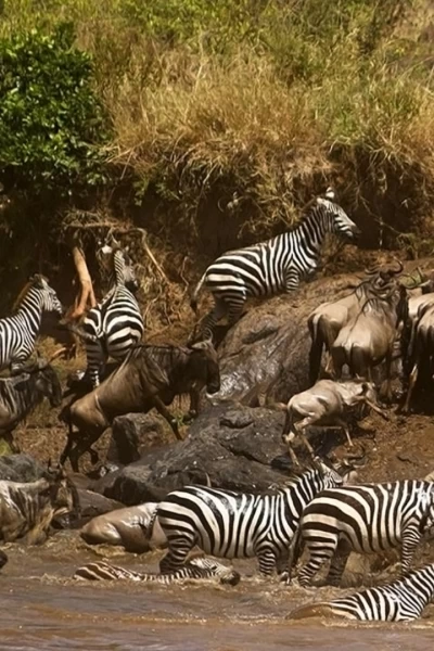 El río más sangriento de África
