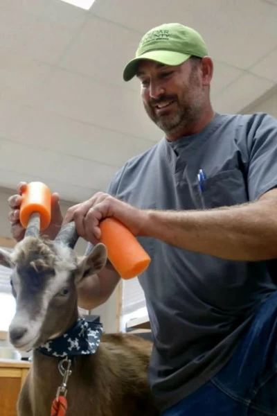 Veterinarios de Nebraska: Pacientes inesperados