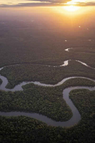 Amazonia americana