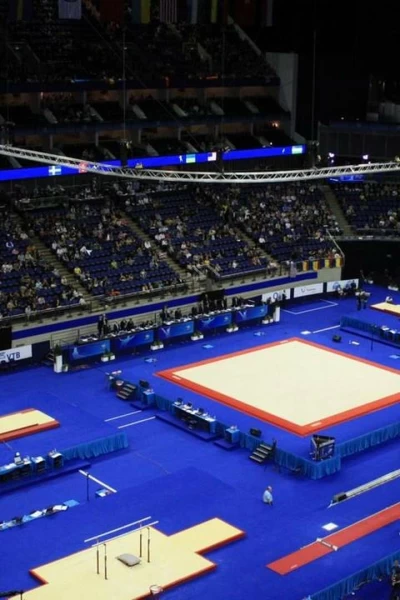 Cto. del Mundo de gimnasia artística