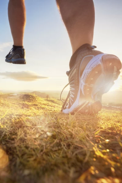 Atletismo: Campeonato de España de cross. T(2026). Atletismo:... (2026): Carrera M