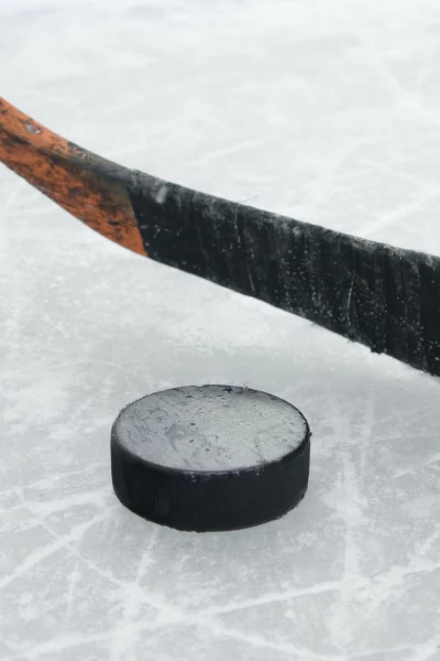 Copa de la Reina de hockey sobre hielo