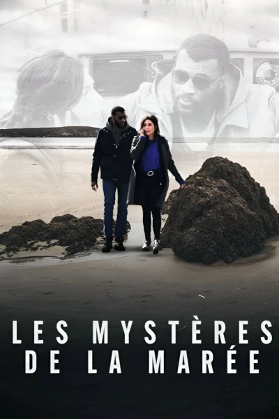 Els misteris de la marea