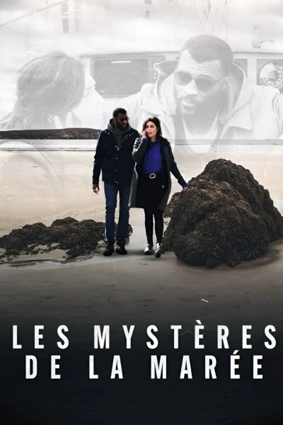 Els misteris de la marea